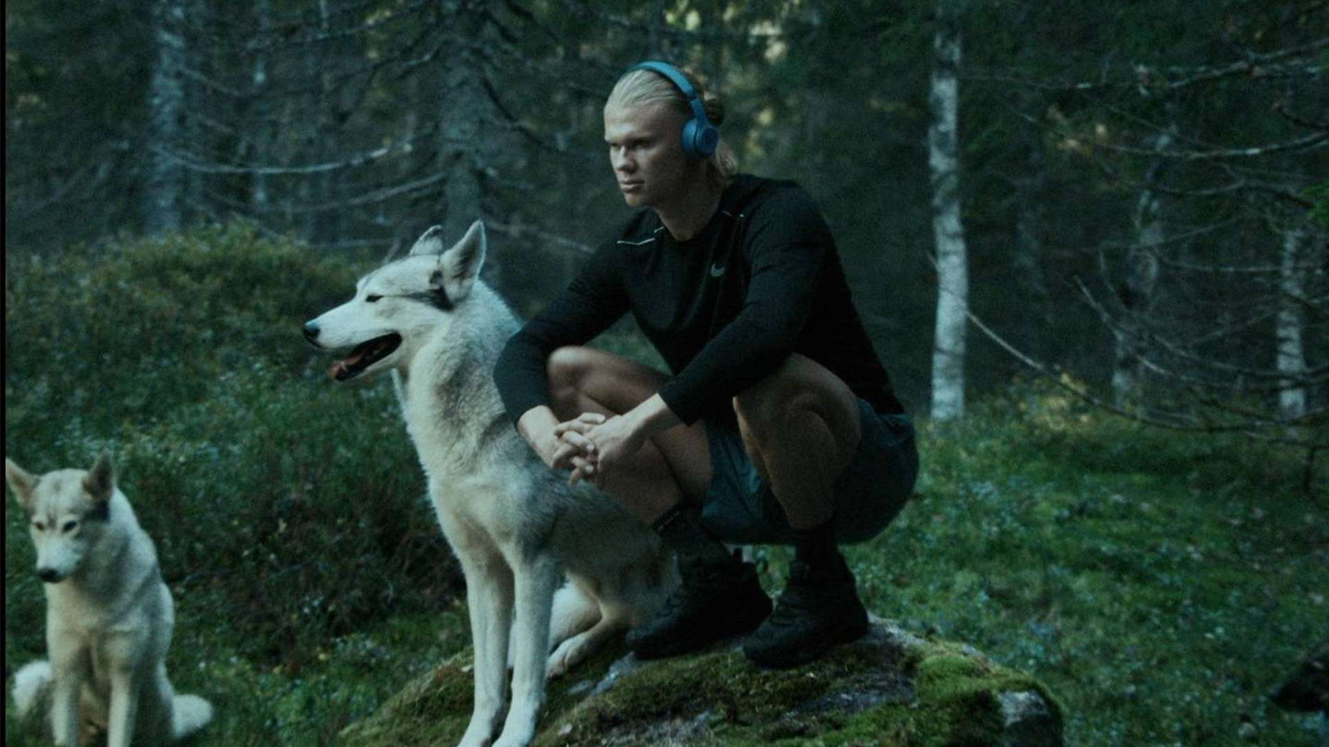 团队建设活 团队建设活