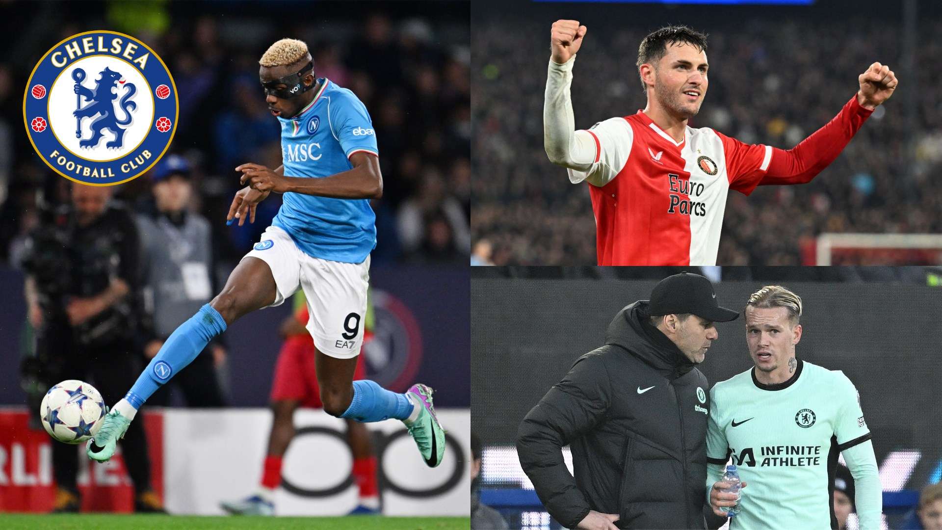 更是出奇的 更是出奇的