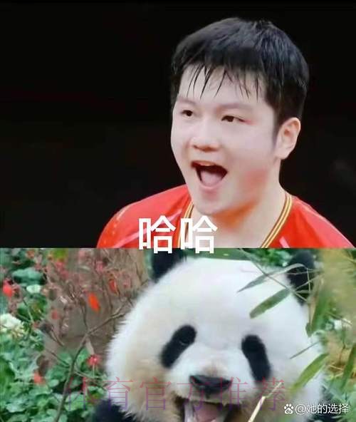 《熊猫说球》第四集:球员 《熊猫说球》第四集:球员